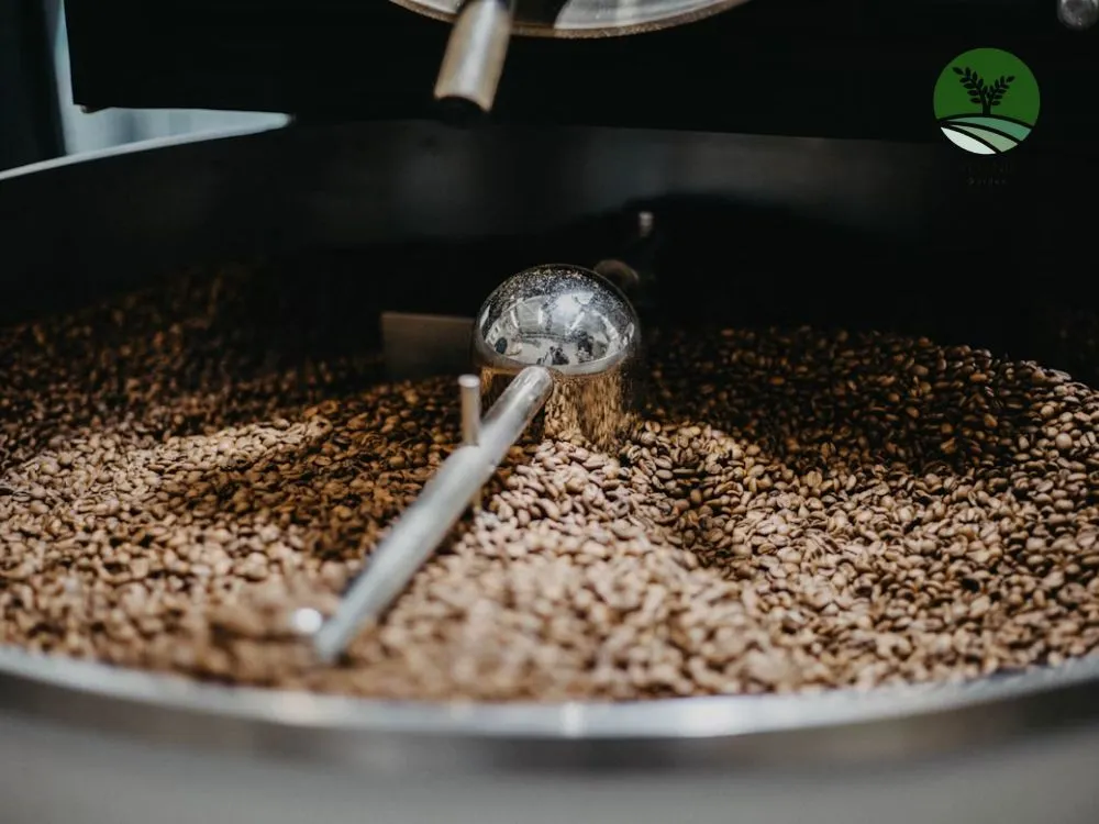 Kopi Roasting Bijian