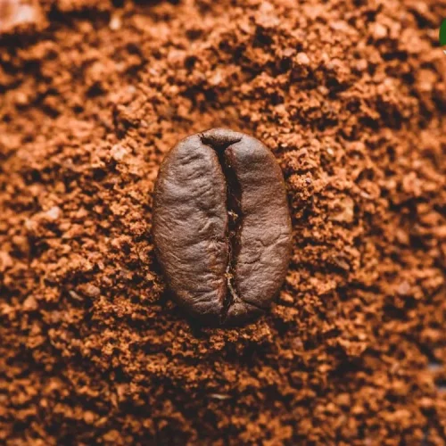 Belajar Roasting Kopi