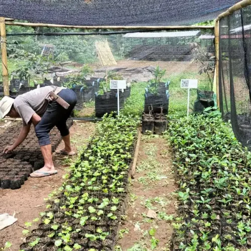 Belajar Membuat Kompos